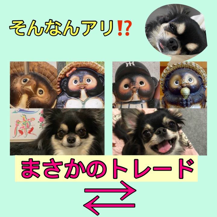 Ff91b666 834e 43cf a07c 400e6913d56c 1610153627066