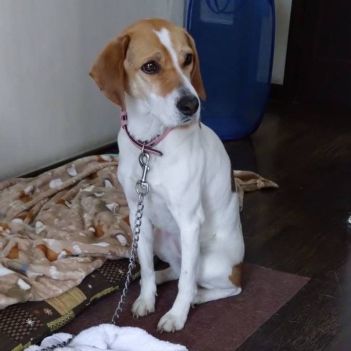 Ff91cf38 94fa 4a61 8e41 352528ca4f00 1582710659513