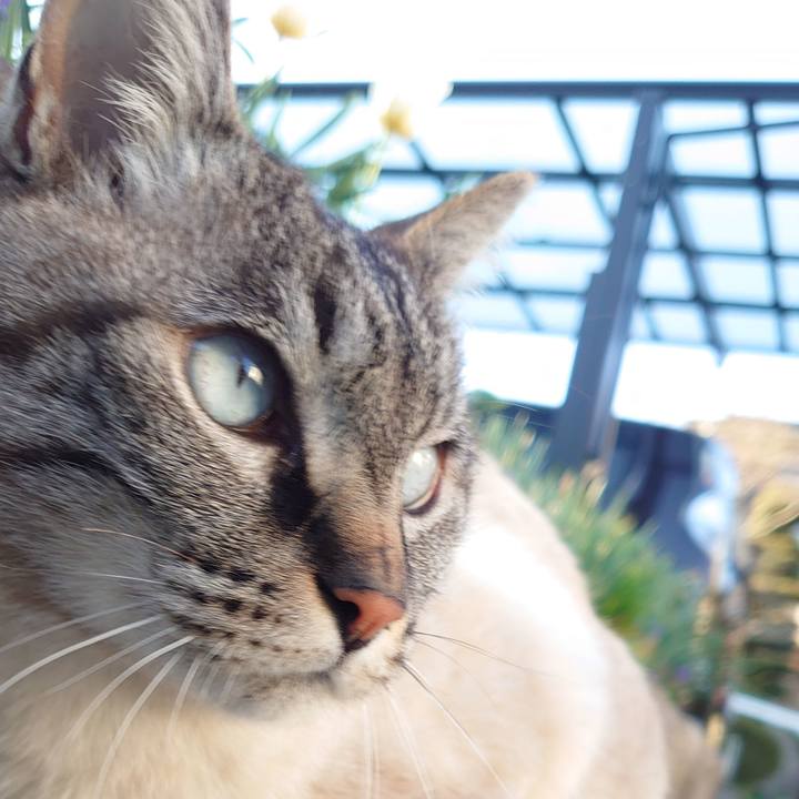 Ff923509 1d63 43a1 afa5 9375a7ccc60f 1648975991082