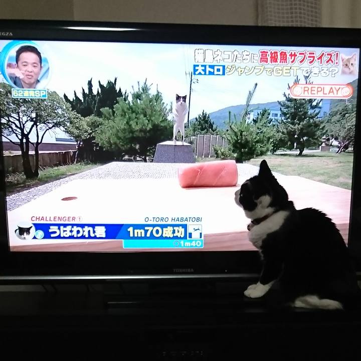 Ff9291c6 e7d0 44e0 b048 db554c2e71bc 1566644649790