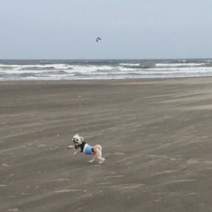 Ff92b8b8 6176 4b86 aa34 96156c6742e1 1525077058021