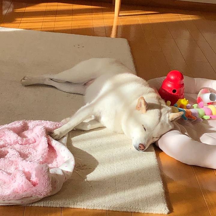 Ff92cb9c 0bce 46ac 842b a43d6b476224 1576326711919