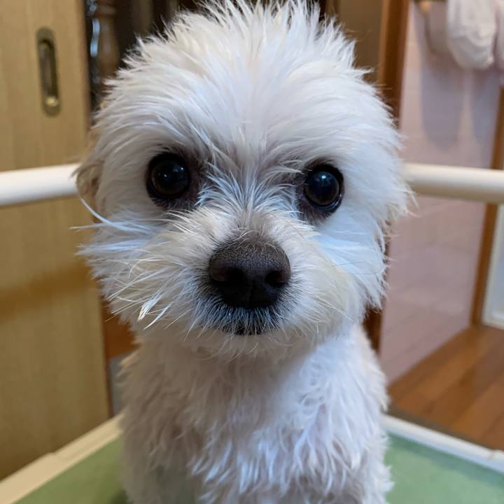 Ff92cbda bc3f 450f 9e25 91c7e3283805 1649654168382