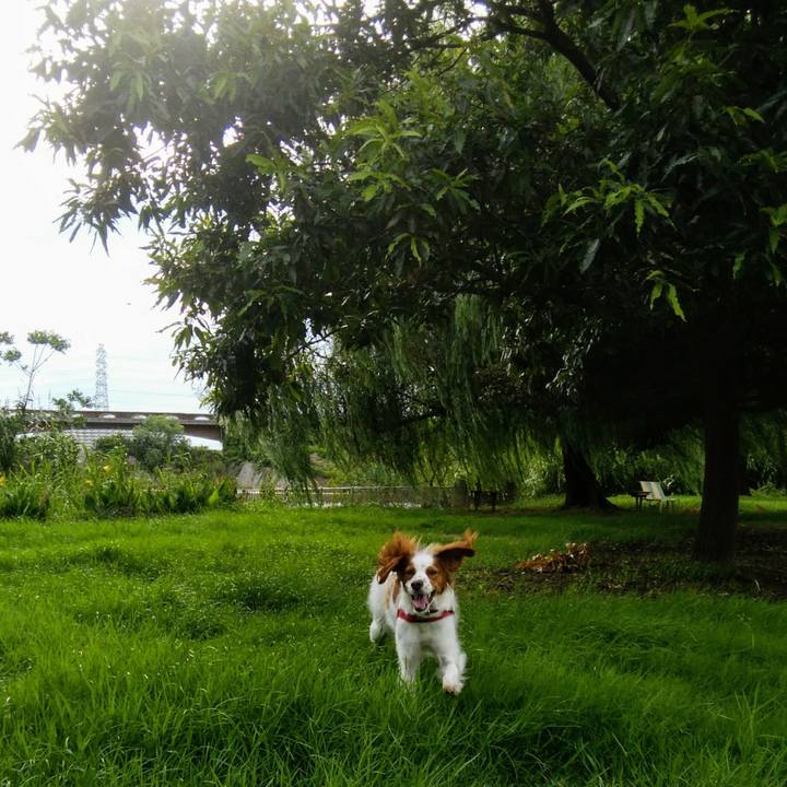 Ff92cc92 b6dc 4ae1 b62e 1ab81e2a8b3f 1534418159548