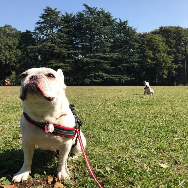 Ff92f052 908d 4c9e bb50 d7ec98045cb6 1509179591124