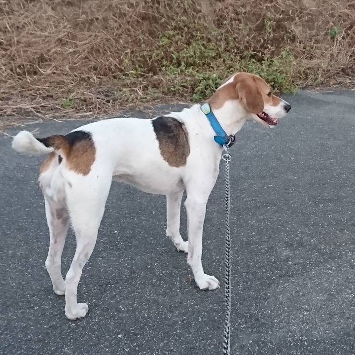 Ff930900 10cd 495b 81e3 6d758ffdf8c9 1573271817131