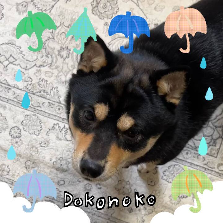 Ff9310fd e353 4354 8629 ef8935ba73cd 1717972745130