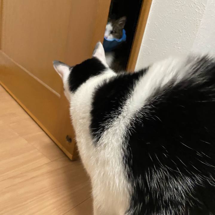 Ff933a10 7952 4b04 8fff cef336b09b4e 1579865185887