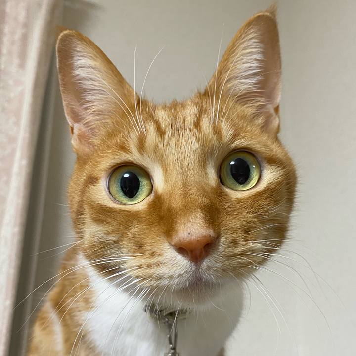 Ff936da9 fe5e 4a35 bd61 d35e4aa461a7 1674907395501