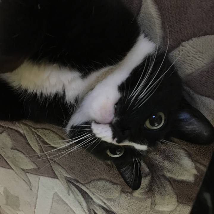 Ff938da9 7b3e 4b34 b9ea dc4b338f2d4b 1528580043458