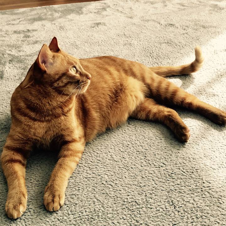 Ff939fac 62ce 4395 9575 9a9c814ebe83 1613907860898