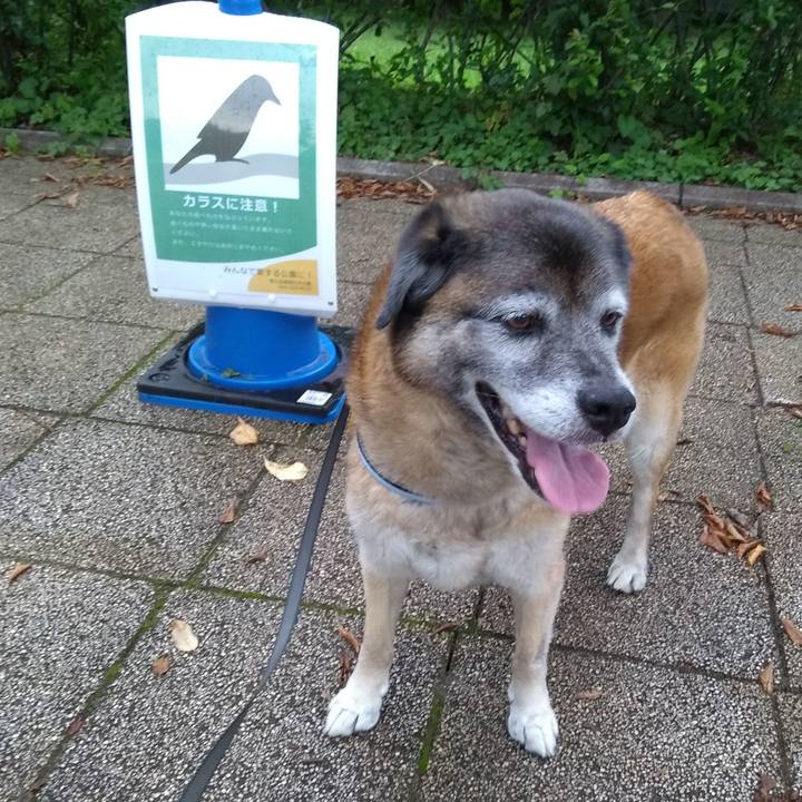 Ff93af29 0a54 4a89 8625 6f0cc15b5554 1563458538234