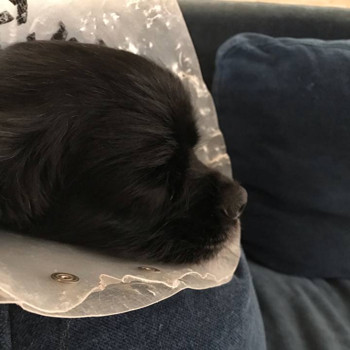 Ff93e147 3ba5 4140 aa9e 53b1726882c2 1544654339015