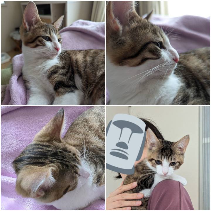 Ff93fa71 a51e 4af9 8332 5c40667629ac 1733125765841