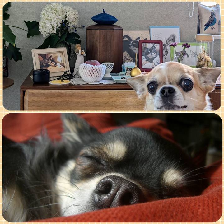 Ff9418d1 ae14 4beb ab11 e5133278817f 1719023409408