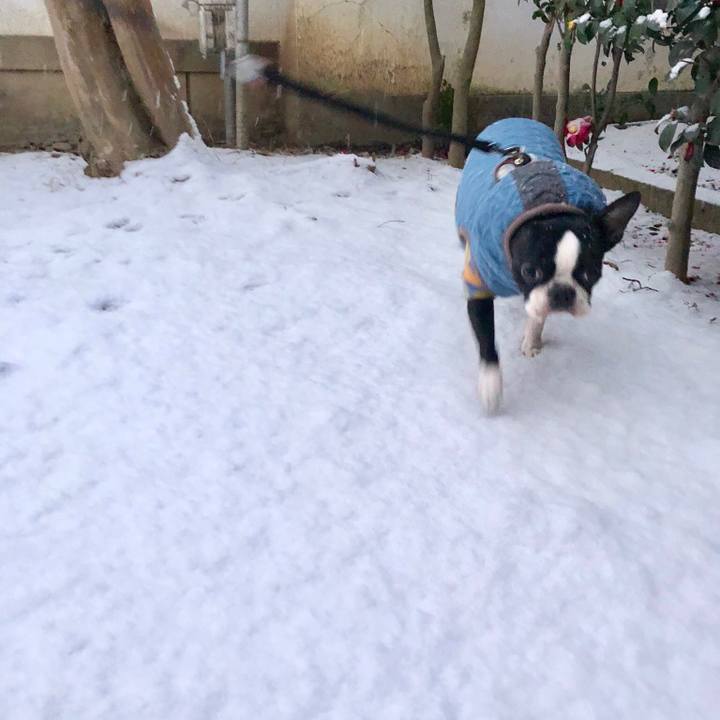 Ff941a30 b560 479b a6e3 92f396616d5c 1516830985431