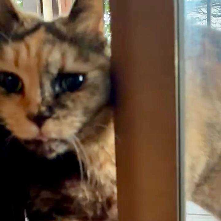 Ff948042 18fb 449f 9a7e 277245908e54 1772282374352