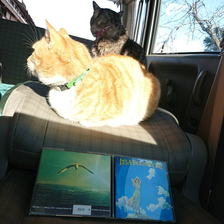 Ff94b2d4 0c89 438f 8ac5 ac3b1ff42d36 1585466034498