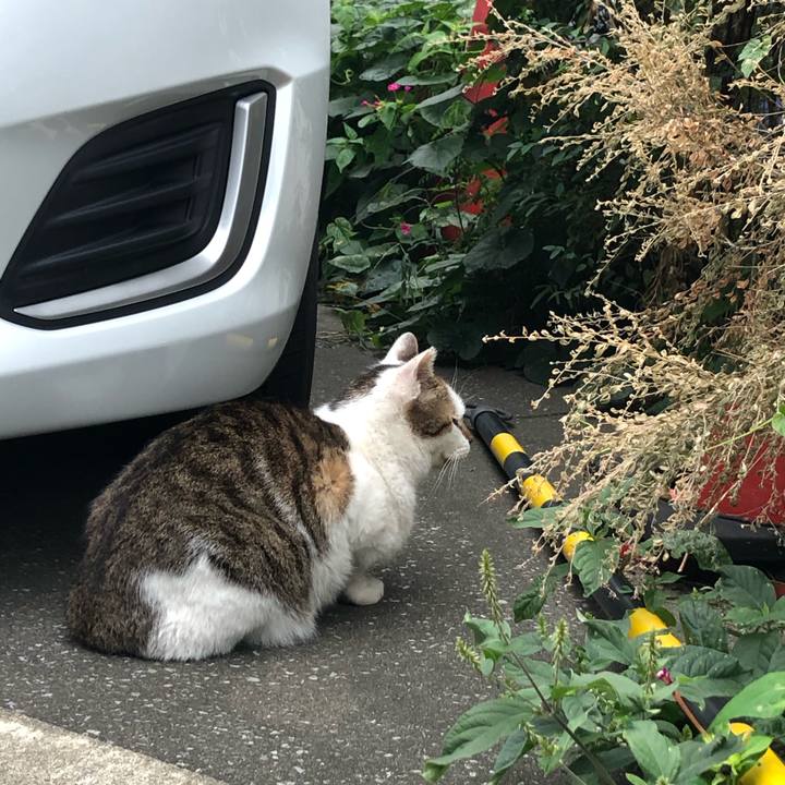 Ff94be69 a227 4888 a466 afe7ca6da269 1570465698982