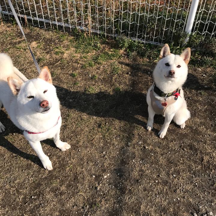 Ff94f940 61a1 4311 84dd 3ba94c8db24c 1516525224415