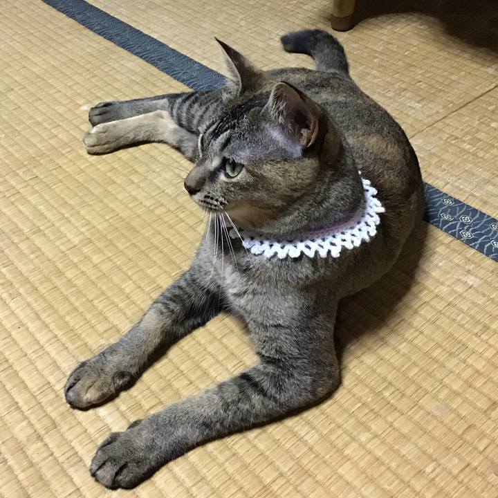 Ff94fbd3 97ba 424d a013 b9deb93f4966 1596946018913