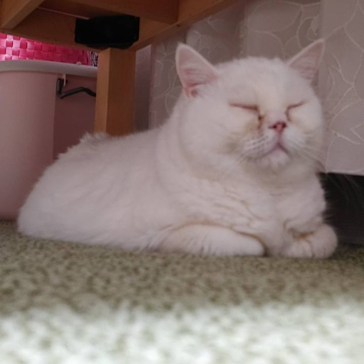 Ff94fce5 1b82 4c9c 9349 5aaa80684a6a 1702201648574