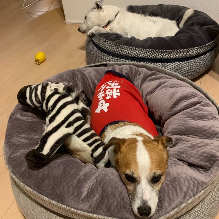 Ff951780 aed5 4d96 9701 37a20c92d42f 1623848064099