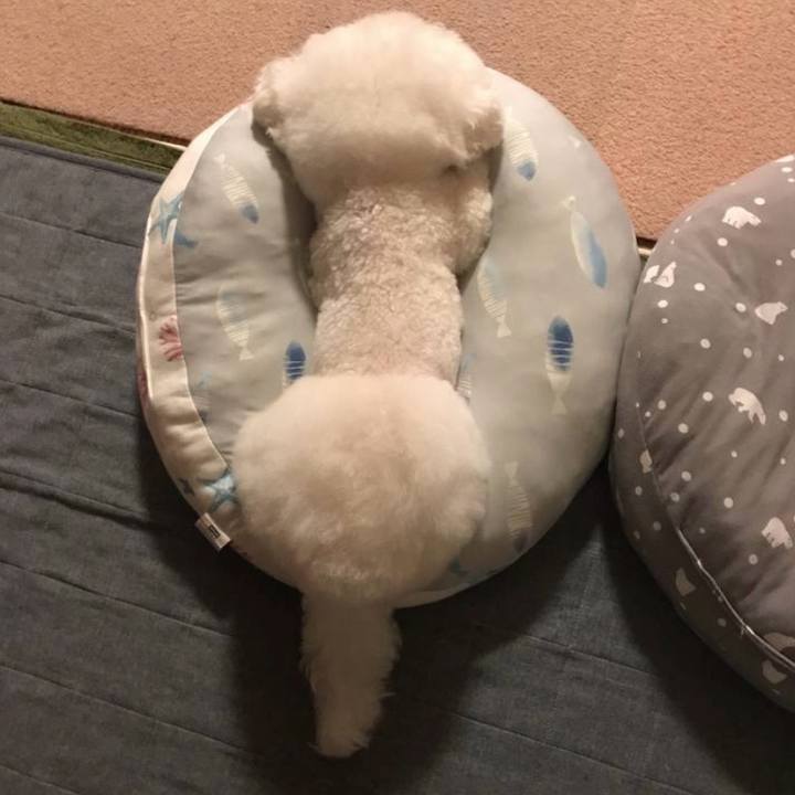 Ff951cbe 324f 4a3e 827a 5f9f882051bb 1762301099948