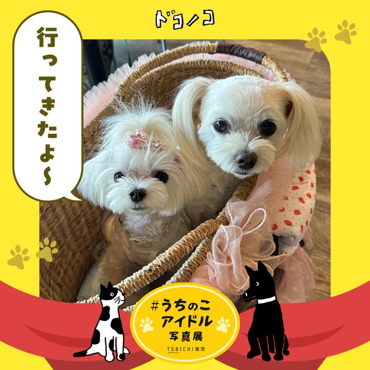 Ff9537ab f181 4fec 8316 66e5b0dbcd06 1761478890706