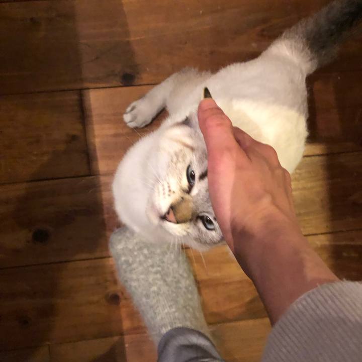 Ff958581 64c0 4460 8113 2cfcad98bb7b 1732362999461