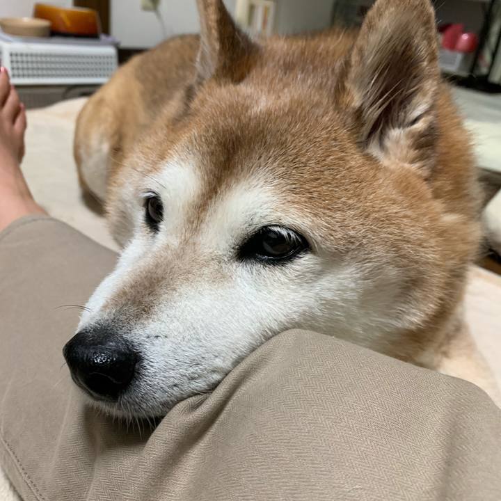 Ff95a563 979b 40a7 bb94 d5d3237b5fd6 1565186717690