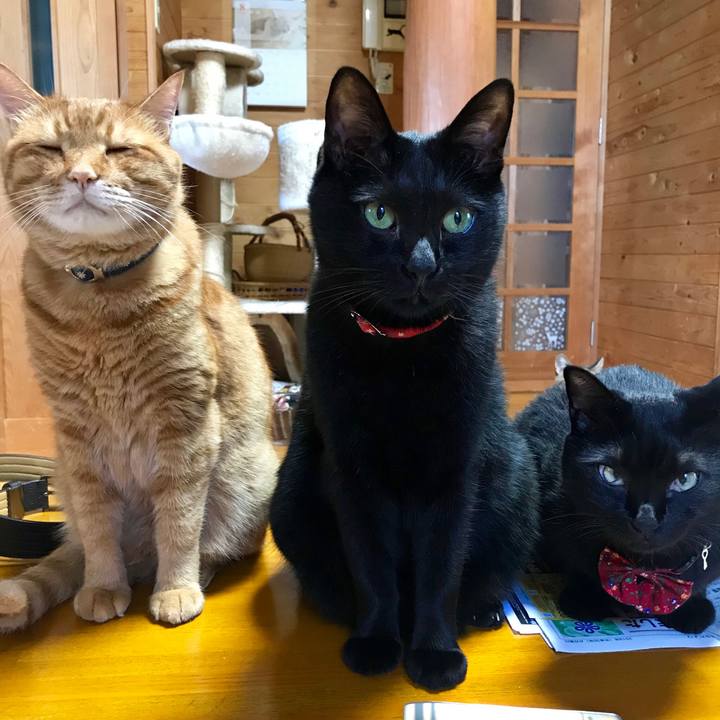 Ff95c226 0bd6 461a 809e c69161e2068f 1533856220998