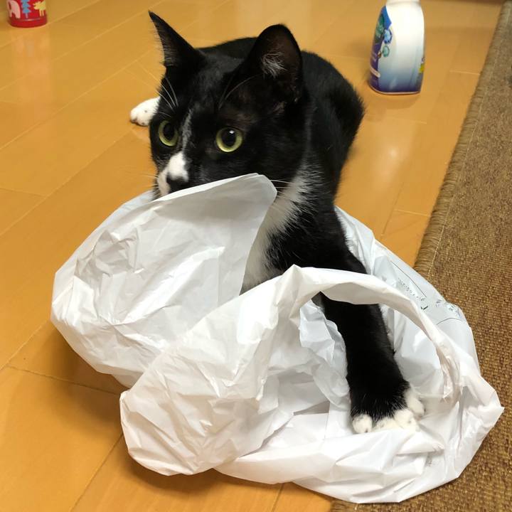 Ff95c374 2380 4e22 a8cc c405dd3c91e7 1536031674436