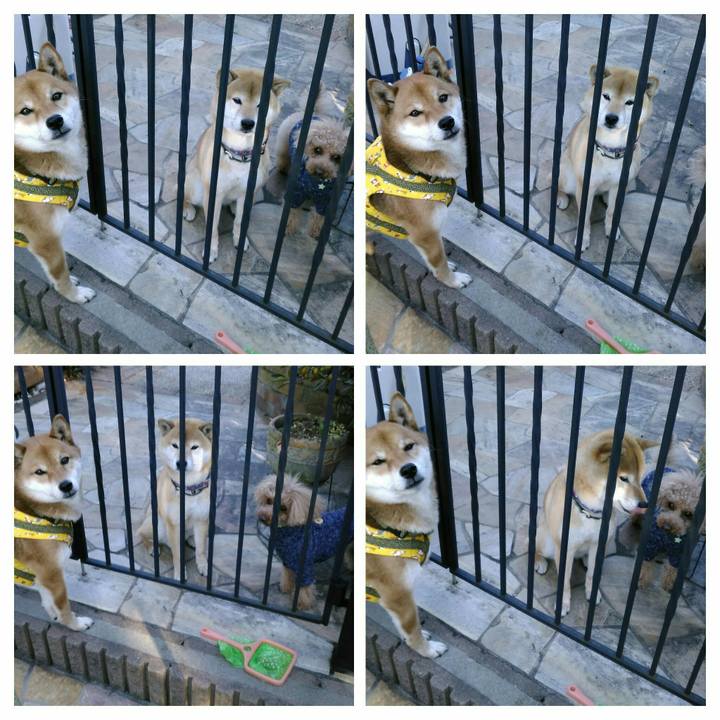 Ff961f87 edab 4db1 9f72 010aeaa9c665 1518075449254