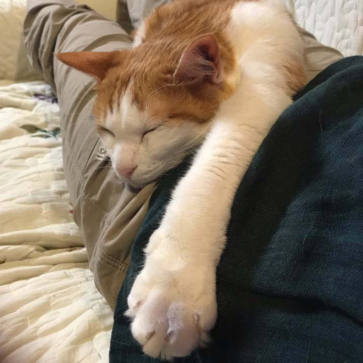 Ff9633e7 437b 4b29 a936 64b30d9a4903 1620304252501