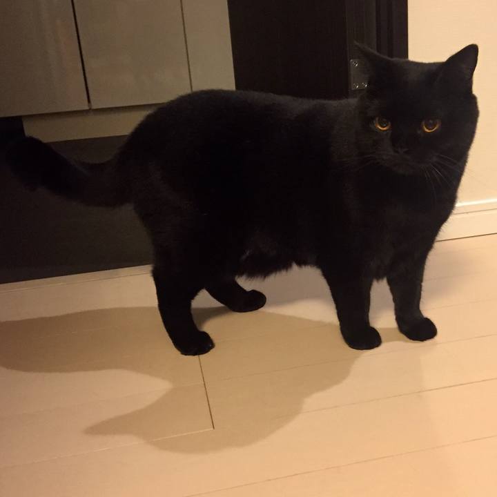 Ff964131 18eb 4665 bea6 136db31542c3 1539086338698