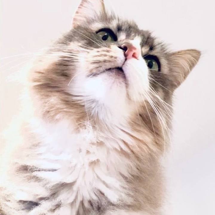 Ff9664e3 8a1d 44d4 8335 10c50580b5df 1758729594649