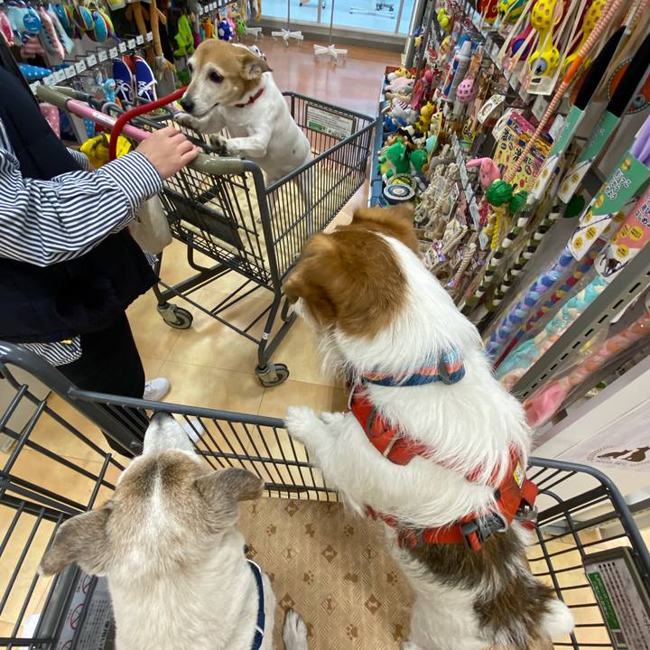 Ff96848c 18f6 43d3 a9fa bbf06a5f0bc9 1676195011127