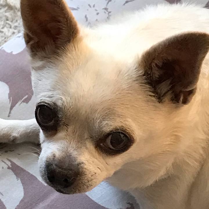 Ff96979b 721b 48c4 97fb 455712637756 1602590543634