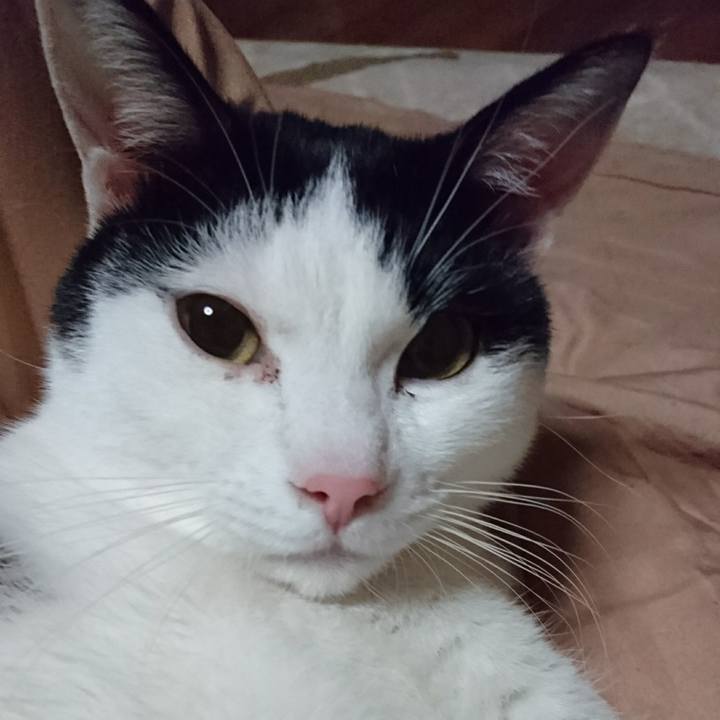 Ff96d418 a54c 4959 9398 6ae3ad04ad32 1521895216942