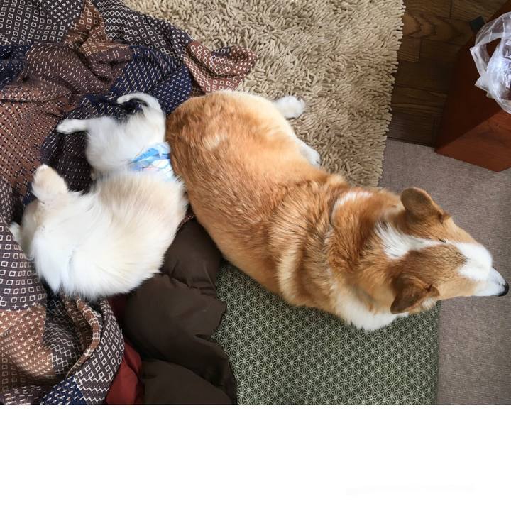 Ff96f51d 9d7c 42d5 bd19 0de147fb99ff 1647307758237