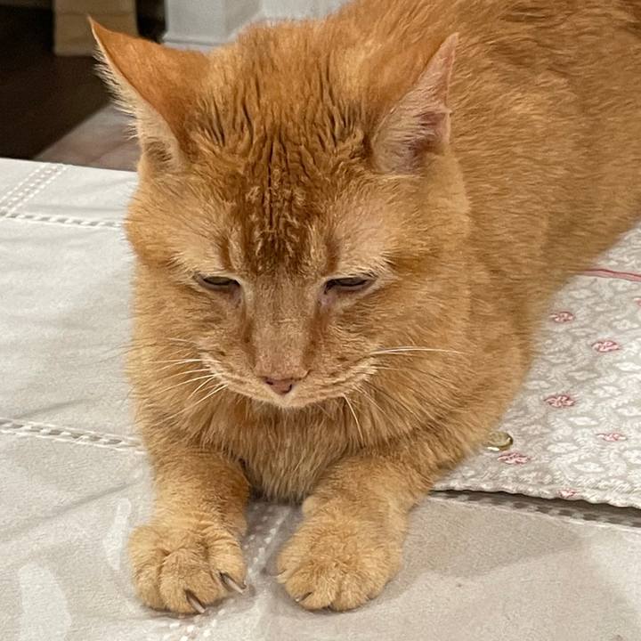 Ff96f5b1 e4ef 4fe8 8973 36df08116eb7 1769476490798