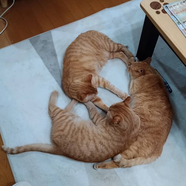 Ff96fb77 88b9 4aa9 b115 82e5e6c8913f 1585906551777