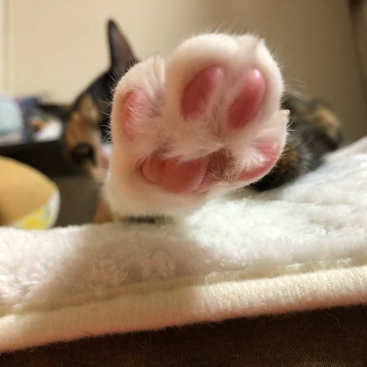 Ff970eb8 51b3 4ec9 ae5f 5a59895c3288 1557659496062