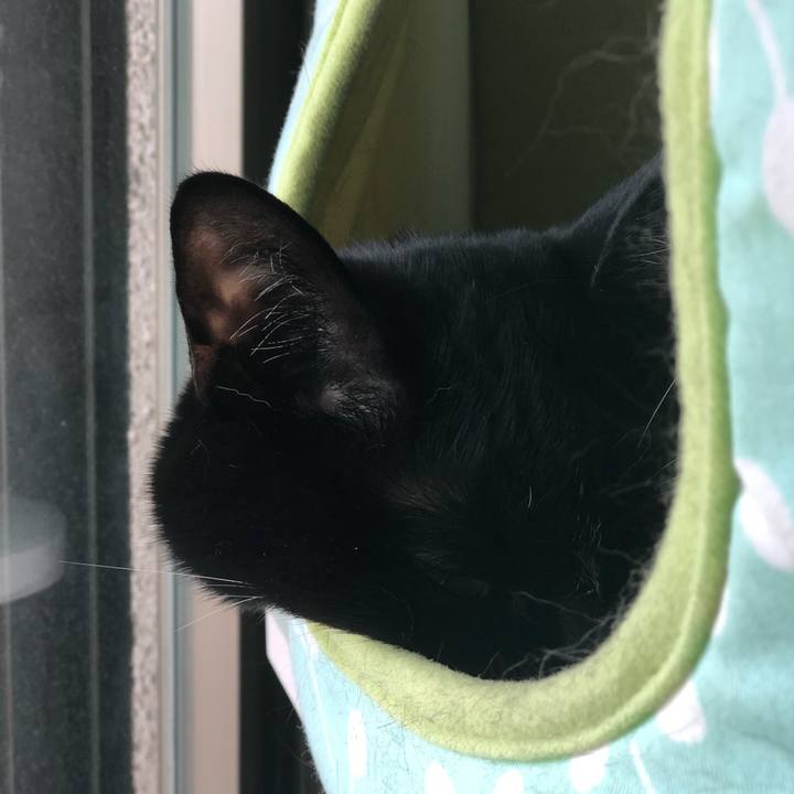 Ff97970d fffb 4f76 998f b92abb83c92d 1531777624843