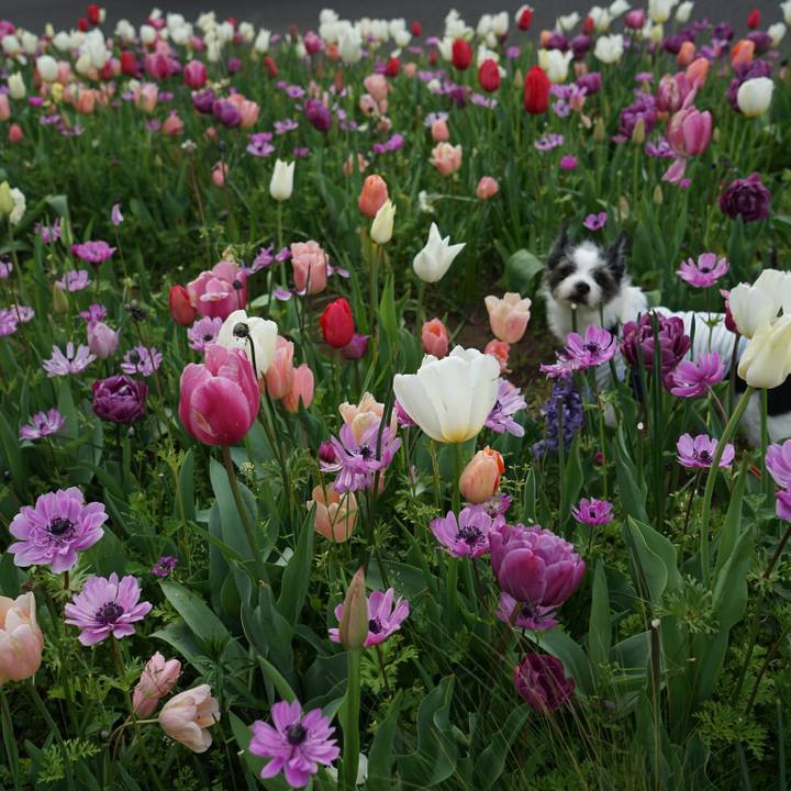 Ff97ace0 1555 4756 b049 fa4b934fb51d 1680920762315