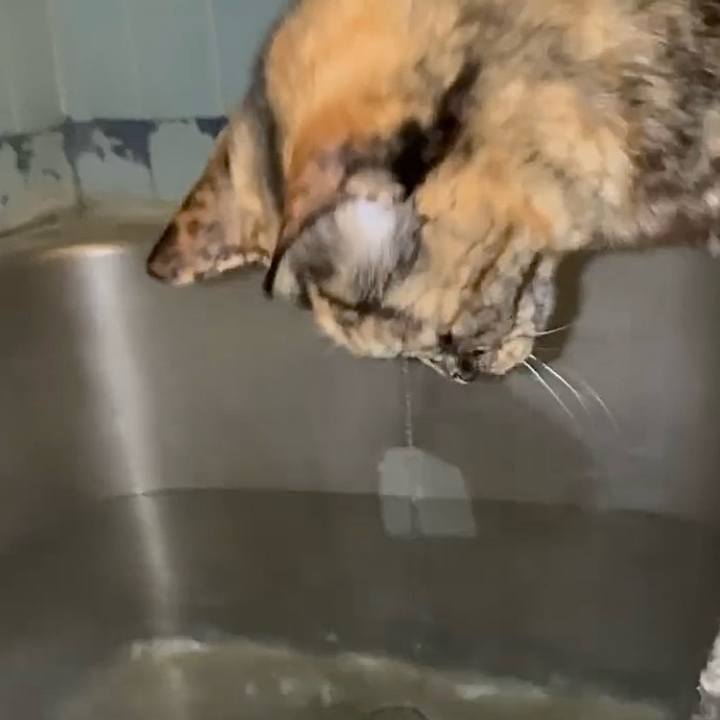 Ff97d04e 1c1c 4858 baec 73323963bc09 1773523713323