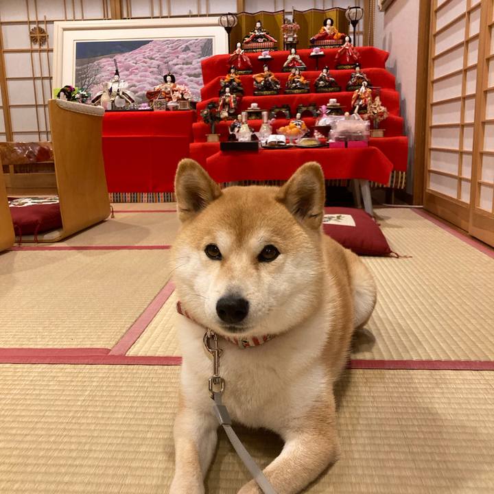 Ff97d24a 2c9b 4b88 9c9c 070c581847f8 1678829738174