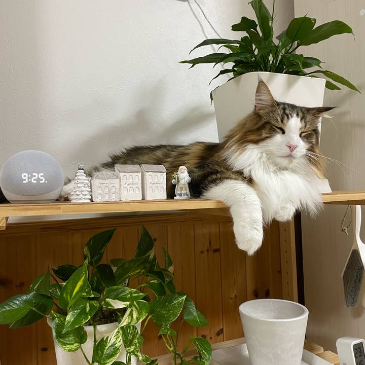 Ff97fa2f 5771 4c8d a775 d49283f263e8 1669467261474