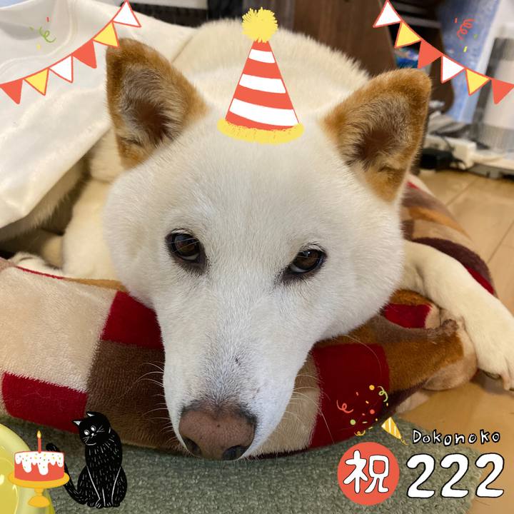 Ff983923 8068 46a0 916e 145c3dd3771e 1645518988819